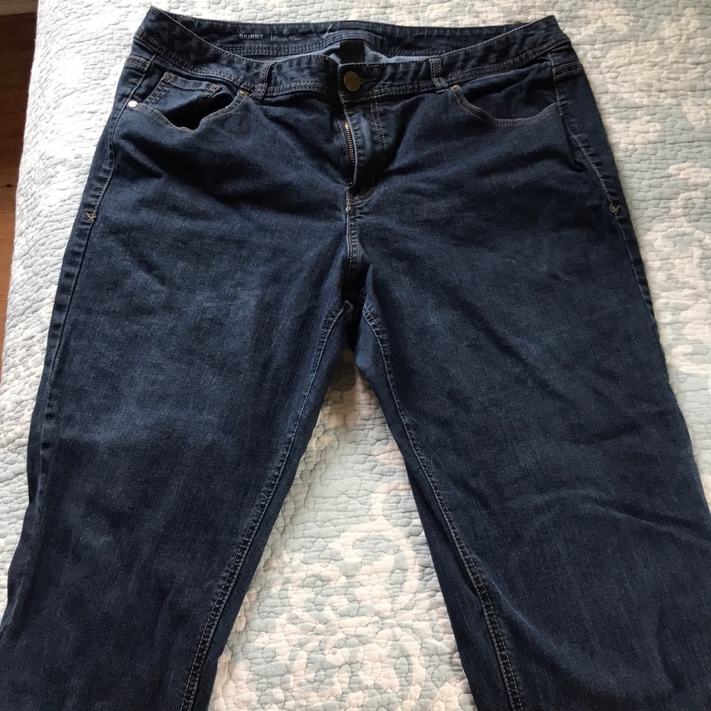 Lane Bryant Genius Fit Skinny Jeans